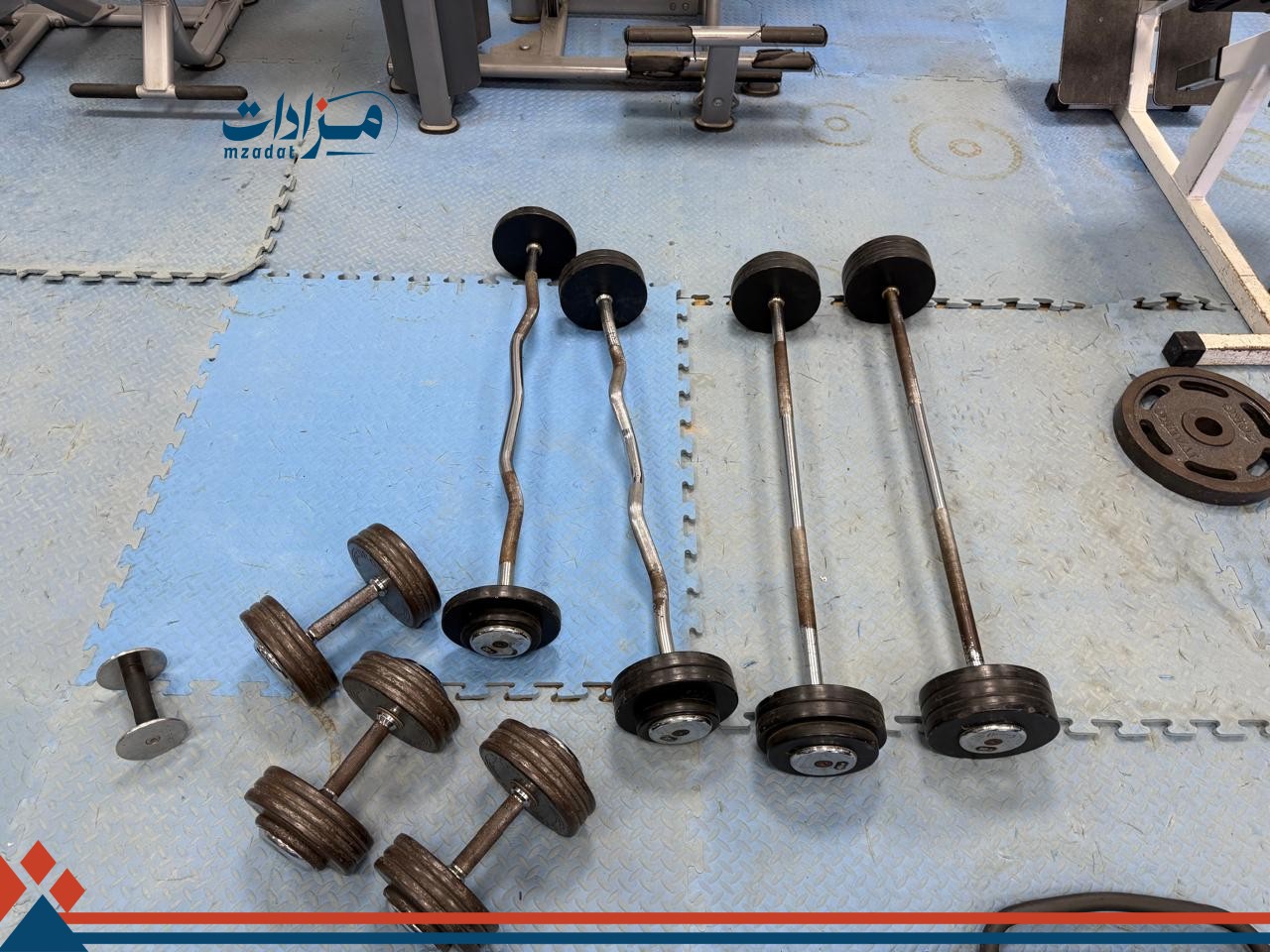 4- Bar Stand + Barbell Weights (20)